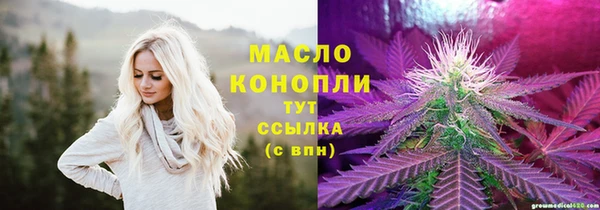 тгк Пересвет