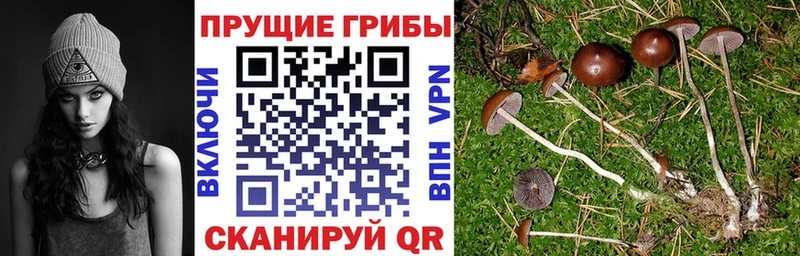 Псилоцибиновые грибы MAGIC MUSHROOMS  Алапаевск 